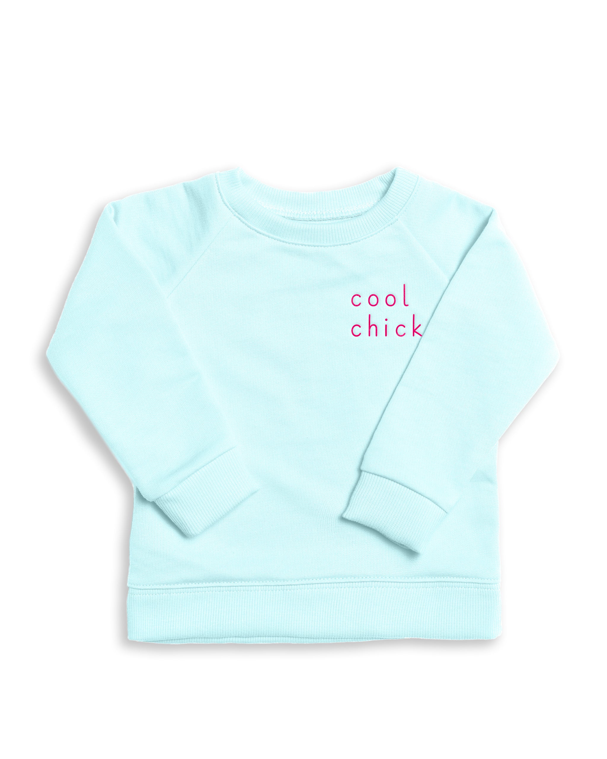 The Organic Embroidered Pullover Sweatshirt [Aqua Cool Chick]